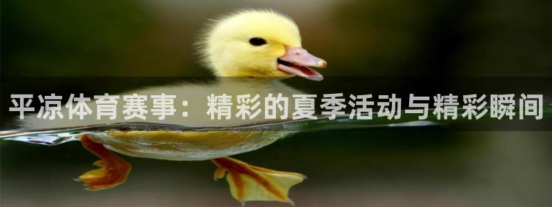 平凉体育赛事：精彩的夏季活动与精彩瞬间