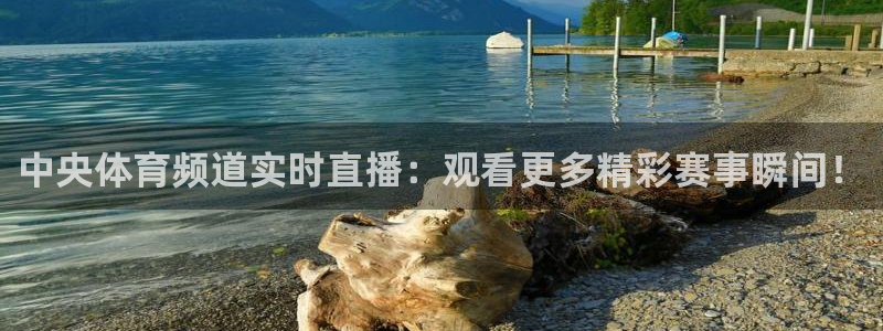 中央体育频道实时直播：观看更多精彩赛事瞬间！